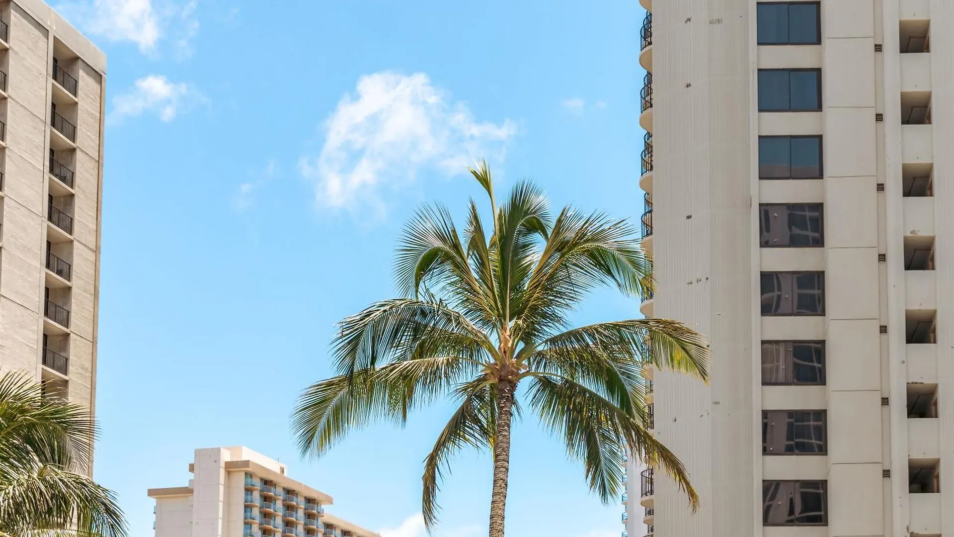Appartement Gorgeous Beach Dream Penthouse With Ocean Views, Parking Included Honolulu